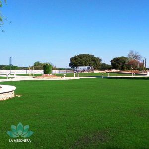 La Mesonera | Césped